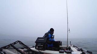 Это сон или реальность, бешеный жор крупного судака на спиннинг и лучшая ночная рыбалка сезона