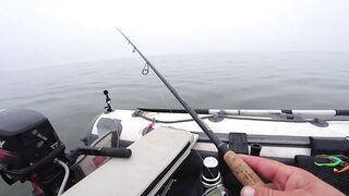 Это сон или реальность, бешеный жор крупного судака на спиннинг и лучшая ночная рыбалка сезона