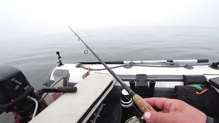 Это сон или реальность, бешеный жор крупного судака на спиннинг и лучшая ночная рыбалка сезона