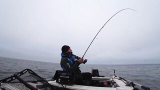 Это сон или реальность, бешеный жор крупного судака на спиннинг и лучшая ночная рыбалка сезона