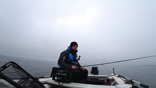 Это сон или реальность, бешеный жор крупного судака на спиннинг и лучшая ночная рыбалка сезона