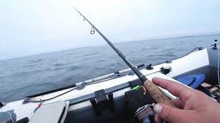 Это сон или реальность, бешеный жор крупного судака на спиннинг и лучшая ночная рыбалка сезона