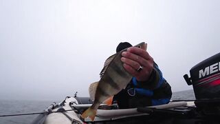 Это сон или реальность, бешеный жор крупного судака на спиннинг и лучшая ночная рыбалка сезона