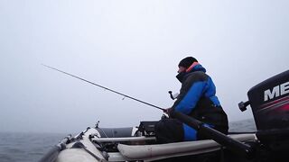 Это сон или реальность, бешеный жор крупного судака на спиннинг и лучшая ночная рыбалка сезона