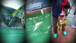 Хотите лучшую морская рыбалка в Индийском океане: трофеи о которых давно мечтали