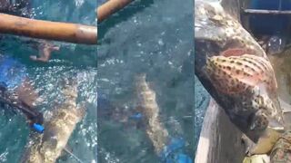 Поимка гигантского grouper lapu lapu мощная морская рыбалка и борьба с рыбой у рифа