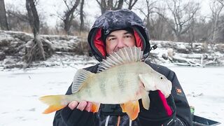 Опасная рыбалка по первому льду - протока дышит, но щука окунь и судак не дают уйти домой рано