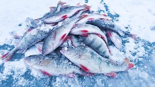 Опасная рыбалка по первому льду - протока дышит, но щука окунь и судак не дают уйти домой рано