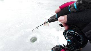 Опасная рыбалка по первому льду - протока дышит, но щука окунь и судак не дают уйти домой рано