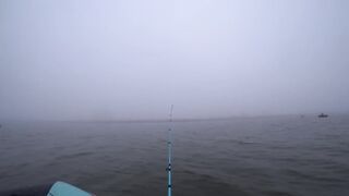 Лещи по килограмму гнут удочки под воду, рыбалка с лодки 2025 когда клюёт один за другим