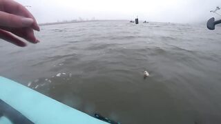 Лещи по килограмму гнут удочки под воду, рыбалка с лодки 2025 когда клюёт один за другим