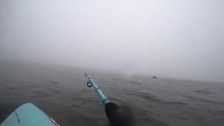 Лещи по килограмму гнут удочки под воду, рыбалка с лодки 2025 когда клюёт один за другим