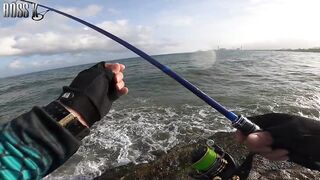 Spot hunting Toledo City Cebu поиск новых мест для рыбалки с deadbait jigs и скальных бросков