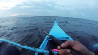 Cordova Cebu, мощные удары рыбы при вертикальном джиге морская рыбалка воровски тянет к океану