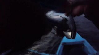 Cordova Cebu, мощные удары рыбы при вертикальном джиге морская рыбалка воровски тянет к океану