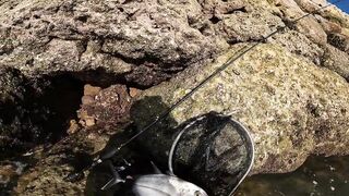 Talakitok Sa Umaga ультралайт рыбалка в Cebu по утреннему морскому хищнику на тонкие снасти