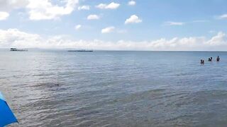 В Talisay Cebu море и рыба по настоящему свежие рыбачим сетями прямо у берега города