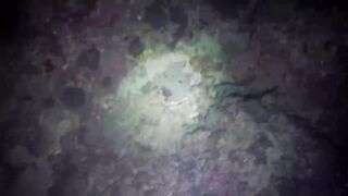 Эпизод 398 джекпот, дорогая и крупная рыба одна за другой местная морская рыбалка на Филиппинах