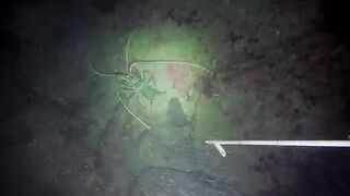 Эпизод 398 джекпот, дорогая и крупная рыба одна за другой местная морская рыбалка на Филиппинах