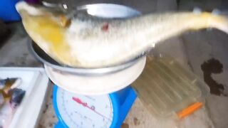 Эпизод 398 джекпот, дорогая и крупная рыба одна за другой местная морская рыбалка на Филиппинах