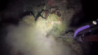 Эпизод 398 джекпот, дорогая и крупная рыба одна за другой местная морская рыбалка на Филиппинах