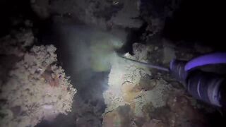 Эпизод 398 джекпот, дорогая и крупная рыба одна за другой местная морская рыбалка на Филиппинах