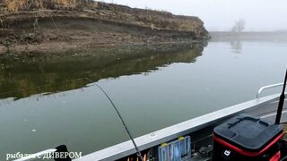 Туманная Ахтуба: осенний судак 2025 и троллинг в один спиннинг по русловым бровкам