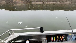 Туманная Ахтуба: осенний судак 2025 и троллинг в один спиннинг по русловым бровкам