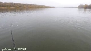 Туманная Ахтуба: осенний судак 2025 и троллинг в один спиннинг по русловым бровкам