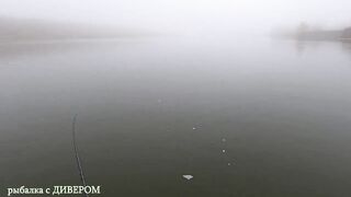 Туманная Ахтуба: осенний судак 2025 и троллинг в один спиннинг по русловым бровкам