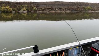 Туманная Ахтуба: осенний судак 2025 и троллинг в один спиннинг по русловым бровкам