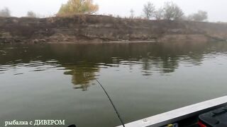 Туманная Ахтуба: осенний судак 2025 и троллинг в один спиннинг по русловым бровкам