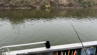 Туманная Ахтуба: осенний судак 2025 и троллинг в один спиннинг по русловым бровкам