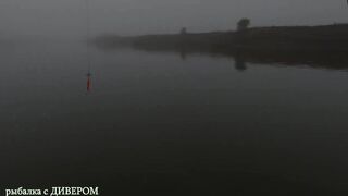 Туманная Ахтуба: осенний судак 2025 и троллинг в один спиннинг по русловым бровкам
