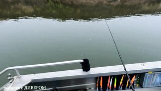 Туманная Ахтуба: осенний судак 2025 и троллинг в один спиннинг по русловым бровкам