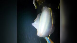 EP 454 удачная рыбалка на море благодарим судьбу за настоящий рыболовный джекпот