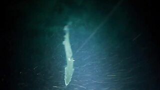 EP 454 удачная рыбалка на море благодарим судьбу за настоящий рыболовный джекпот