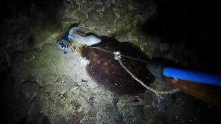 EP 454 удачная рыбалка на море благодарим судьбу за настоящий рыболовный джекпот