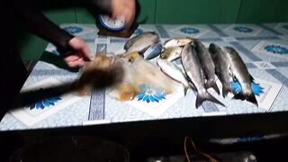 EP 454 удачная рыбалка на море благодарим судьбу за настоящий рыболовный джекпот