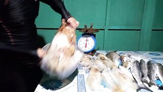 EP 454 удачная рыбалка на море благодарим судьбу за настоящий рыболовный джекпот