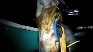 EP 454 удачная рыбалка на море благодарим судьбу за настоящий рыболовный джекпот