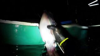 EP 454 удачная рыбалка на море благодарим судьбу за настоящий рыболовный джекпот