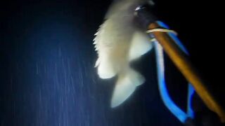 EP 454 удачная рыбалка на море благодарим судьбу за настоящий рыболовный джекпот