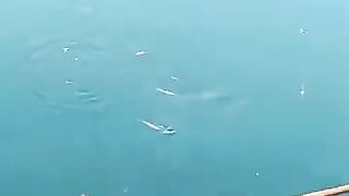 Cebu resort морская рыбалка на территории отеля и вечерние забросы с пирса у волнореза