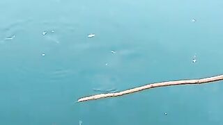 Cebu resort морская рыбалка на территории отеля и вечерние забросы с пирса у волнореза