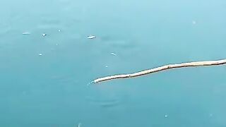 Cebu resort морская рыбалка на территории отеля и вечерние забросы с пирса у волнореза