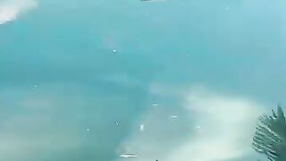 Cebu resort морская рыбалка на территории отеля и вечерние забросы с пирса у волнореза