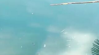 Cebu resort морская рыбалка на территории отеля и вечерние забросы с пирса у волнореза