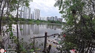 Челлендж 7 дней рыбалки на реке Сайгон, день 4 на новой очищенной точке