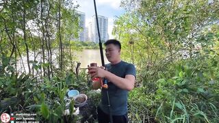 Челлендж 7 дней рыбалки на реке Сайгон, день 4 на новой очищенной точке